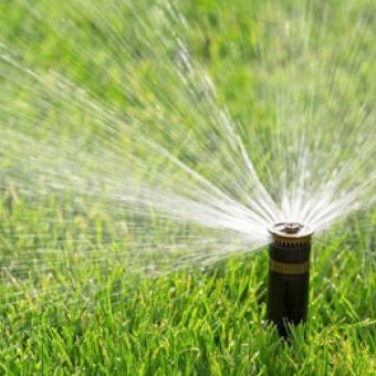 A sprinkler watering the grass