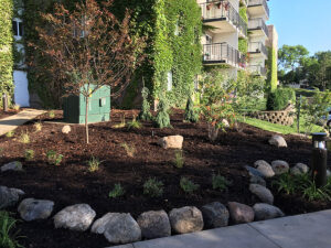 Mulch topdressing on a garden near apartments