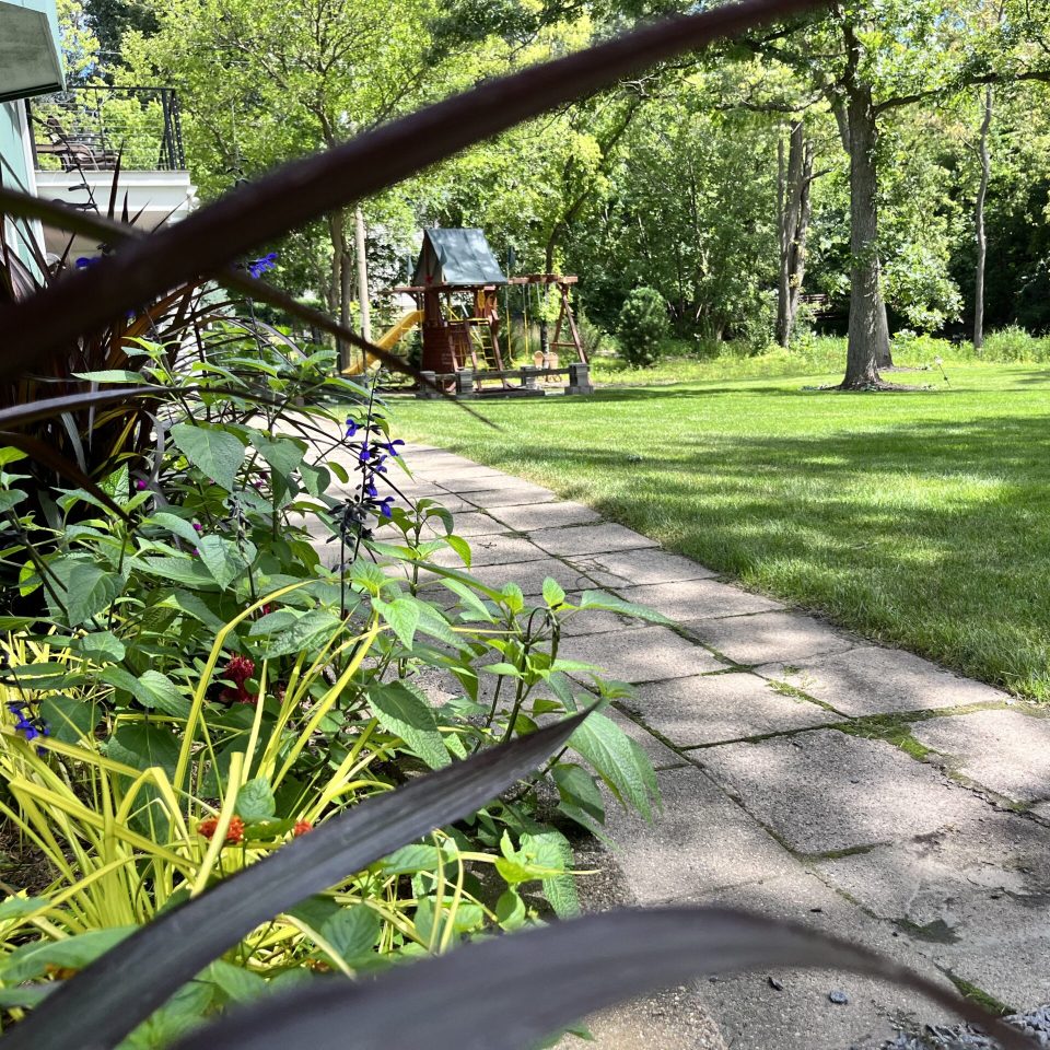 afterimage_frontimage